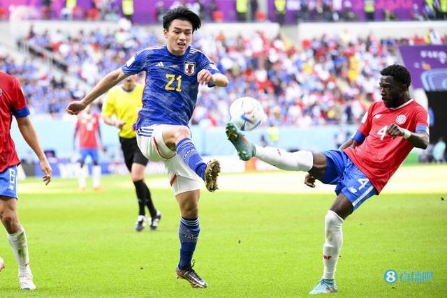 评分功能的 评分功能的