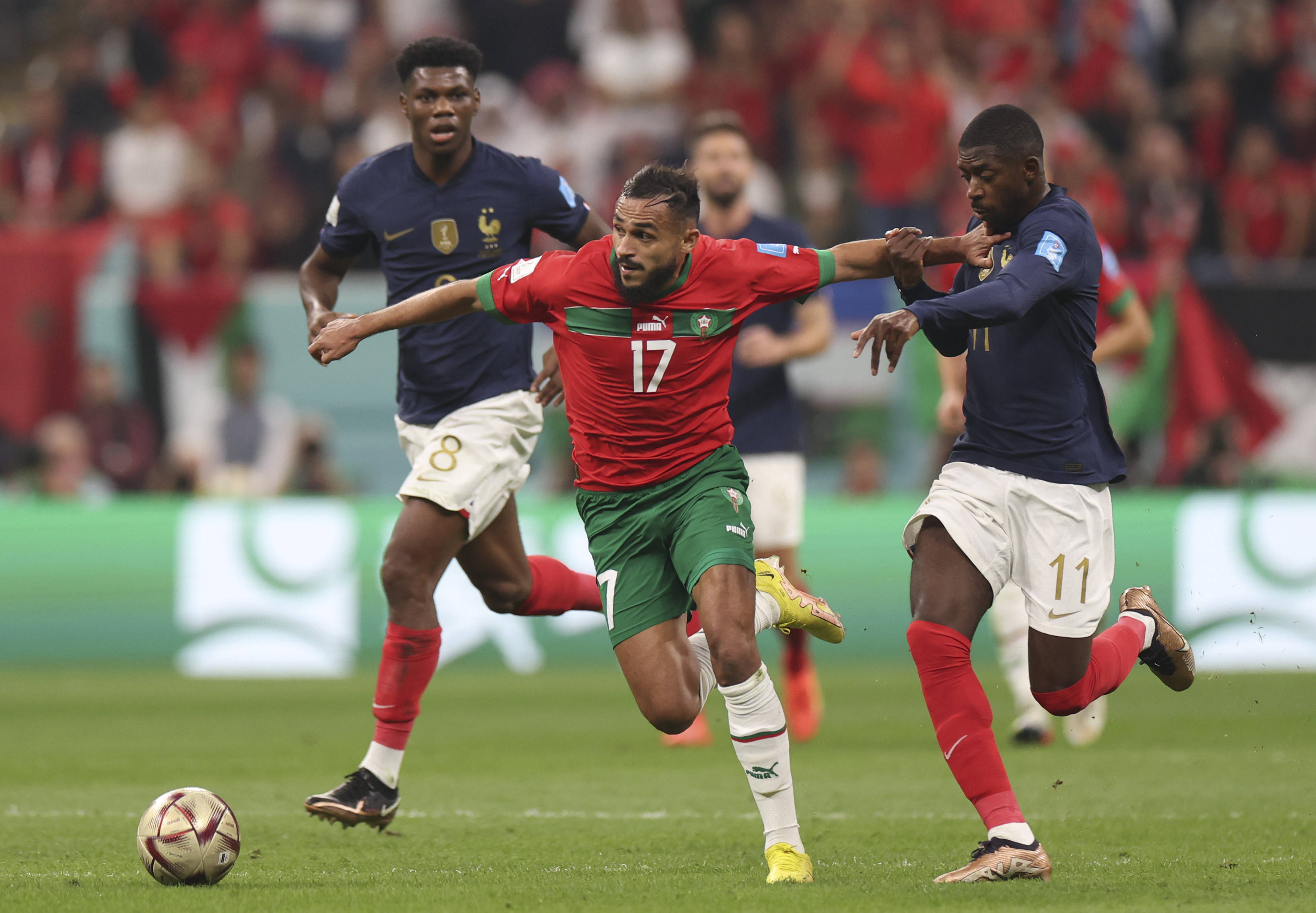 姚明表达了 姚明表达了