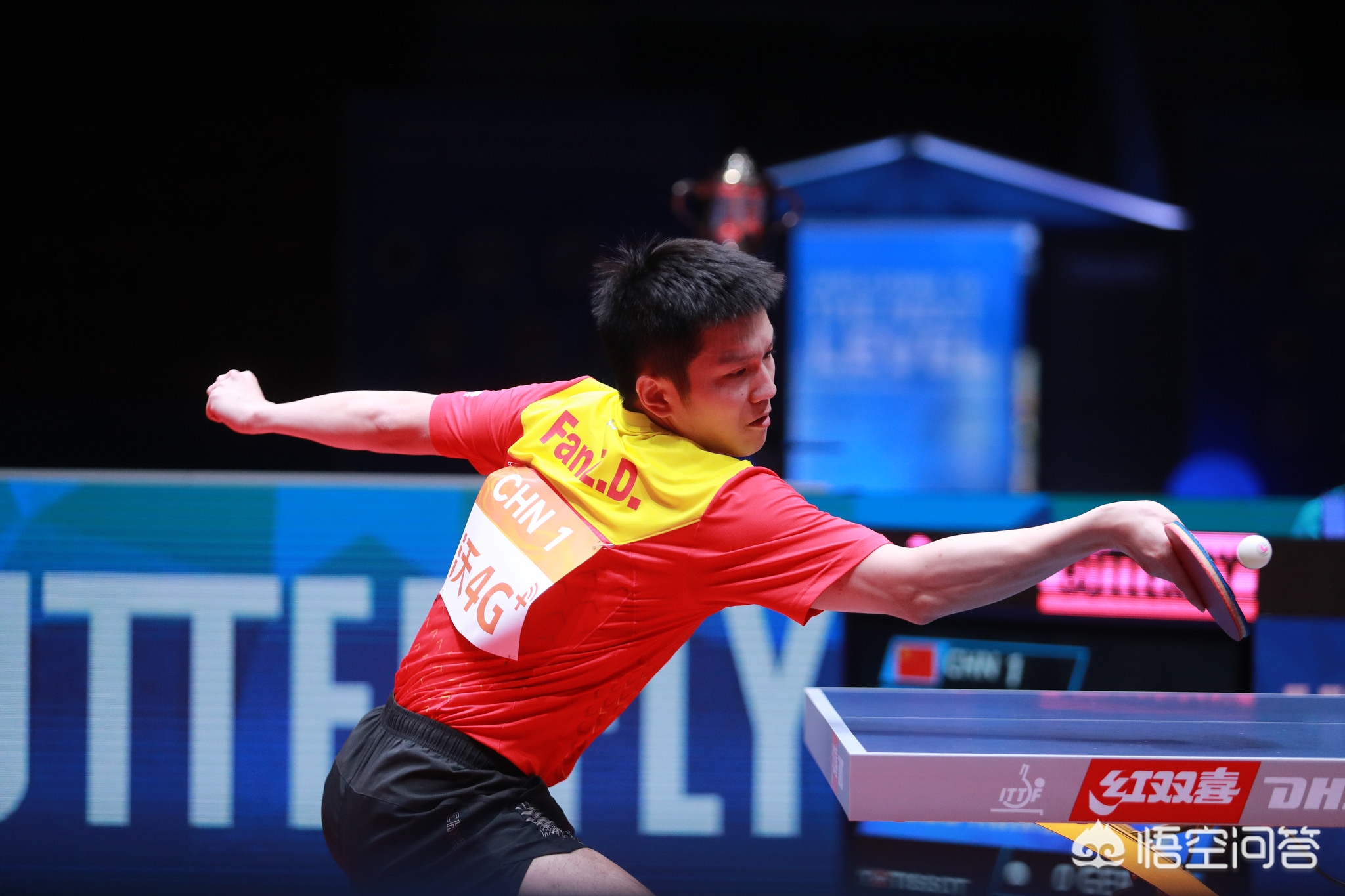 的战术布局 的战术布局