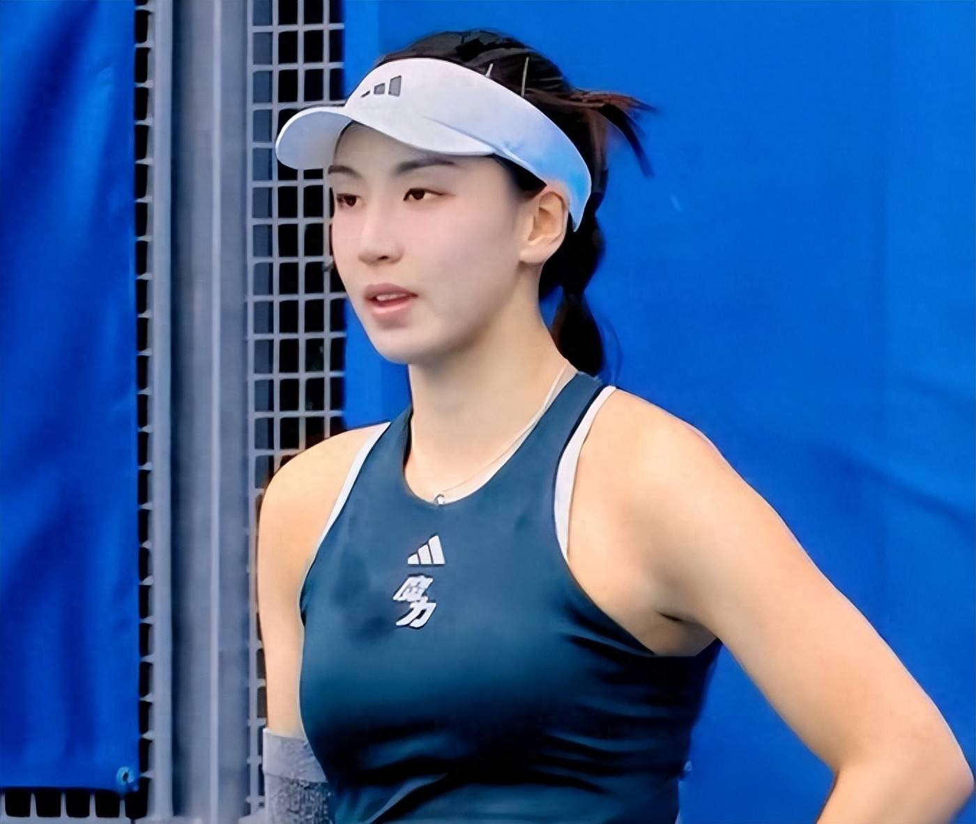 作弊影响系 作弊影响系